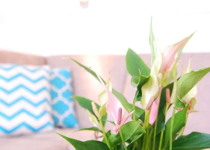 Strandidyll, 58 - Typ A1s * Grömitz